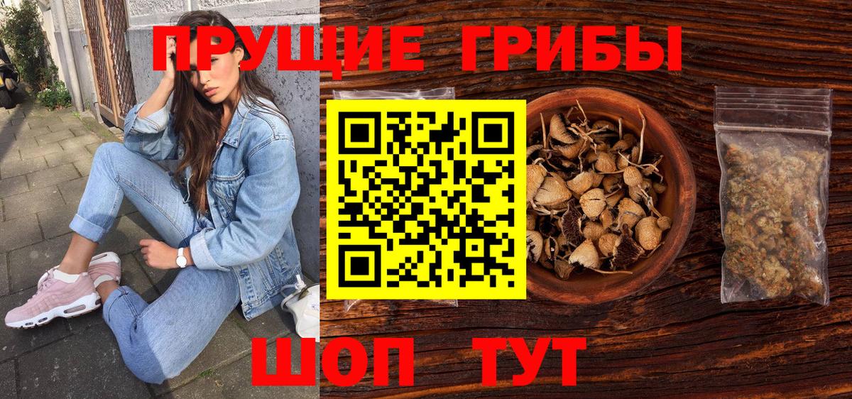 Галлюциногенные грибы мицелий Домодедово
